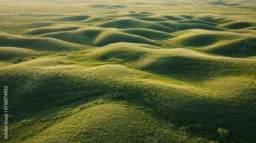 Fototapeta Naklejka Na Ścianę i Meble -  Green meadow background. Grassy hills.