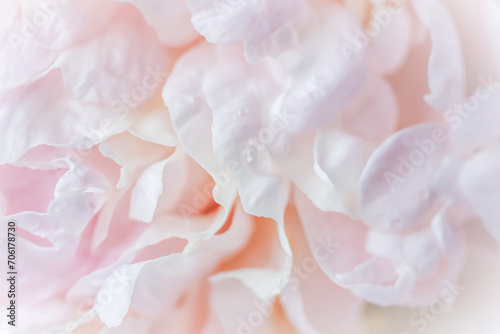 White pink peony petals. Soft focus. Abstract floral background for holiday design