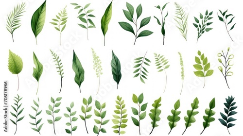 Collection illustration of green leaves
