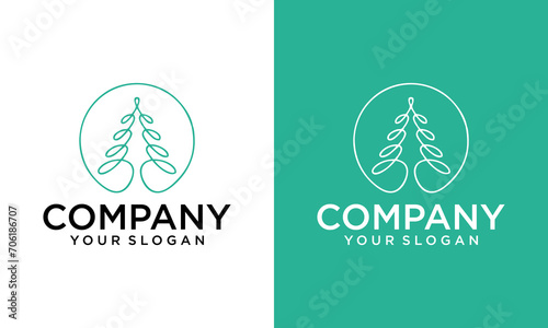 pine evergreen or conifer cedar coniferous cypress larch  pine tree forest vintage line art Logo design vector template