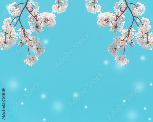 Flower and light; background or texture; spring concept