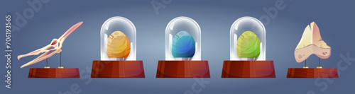 Historical paleontology museum showpiece on stand under glass protection dome. Cartoon vector set of archaeological artifact - dinosaur skeleton bone and skull, colorful eggs of prehistoric animals.