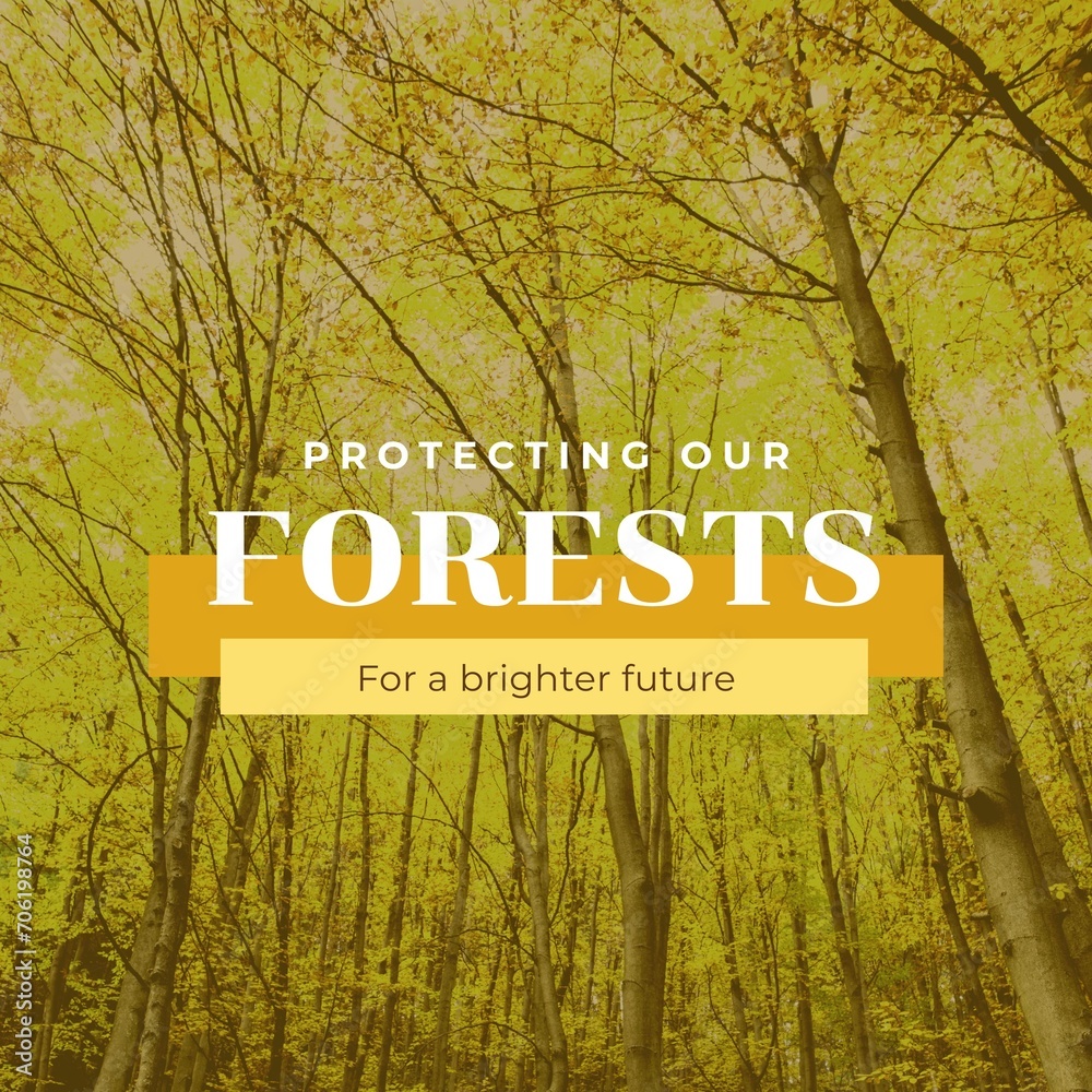 Obraz premium Composite of protecting our forests for a brighter future text and beautiful trees growing in forest