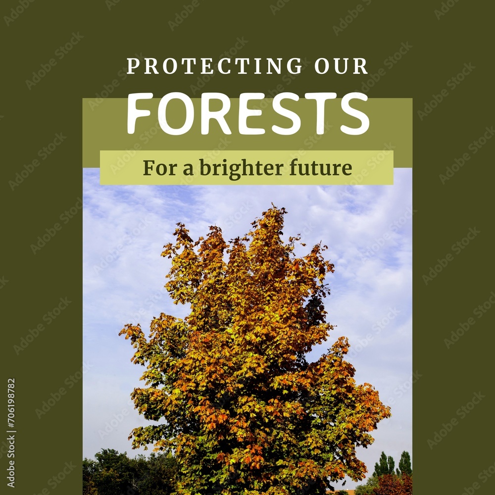 Obraz premium Composite of protecting our forests for a brighter future text over tree growing under sky in forest