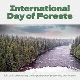 Composite of international day of forests text and scenic view of river flowing amidst trees