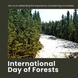 Composite of international day of forests text and beautiful view of river flowing amidst trees