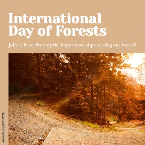 Composite of international day of forests text and trees growing in forest at sunset