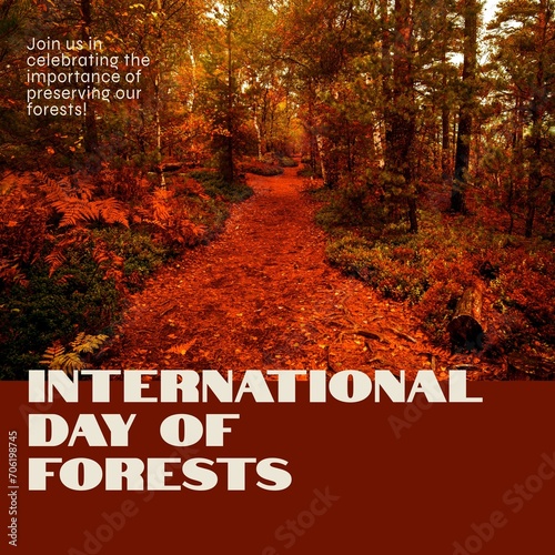 Composite of international day of forests text and idyllic view of trees growing in woodland