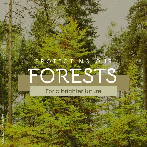 Composite of protecting our forests for a brighter future text over lush trees growing in forest