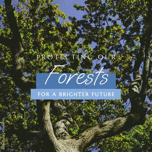 Composite of protecting our forests for a brighter future text over trees growing in forest