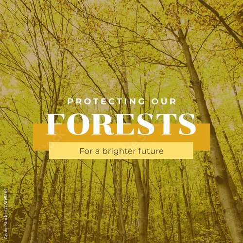 Composite of protecting our forests for a brighter future text and beautiful trees growing in forest
