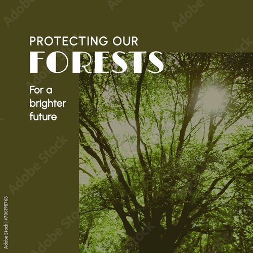 Composite of protecting our forests for a brighter future text, sun shining through trees in forest