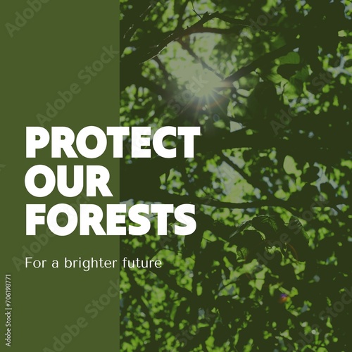 Composite of protecting our forests for a brighter future text, sun shining through trees in woods