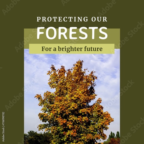 Composite of protecting our forests for a brighter future text over tree growing under sky in forest