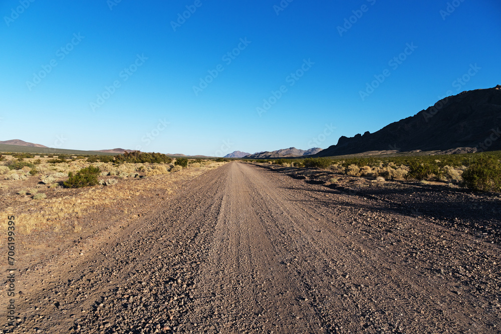 Fototapeta premium Desert Dirt Road