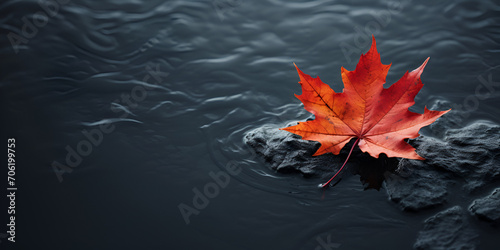 A red maple leaf floating in the water in the style of dark orange Autumnal Tranquility: Red Maple Leaf Afloat 