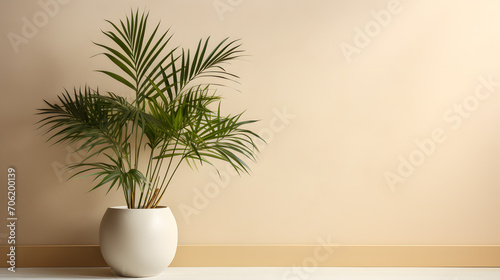 aesthetic cream color wall background with flower in vase