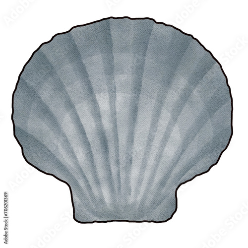 seashell on white background