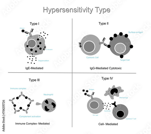 The Classification of Hypersensitivity Type that represents 4 type of IgE-Mediated (I), IgG-Mediated Cytokines ( II), Immune complexes-mediated (Type III)and cell-mediated (IV).