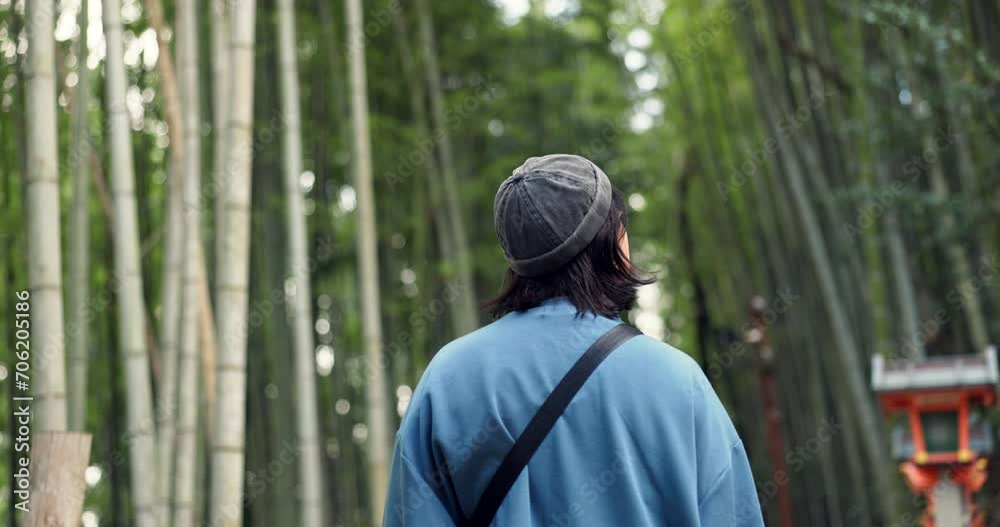 Back, travel and person at bamboo forest outdoor, nature or park in Ariyishiyama, Kyoto and Japan. Rear view, tourist in green garden or environment for sightseeing in jungle adventure on summer trip Back, travel and person at bamboo forest outdoor, nature or park in Ariyishiyama, Kyoto and Japan. Rear view, tourist in green garden or environment for sightseeing in jungle adventure on summer trip