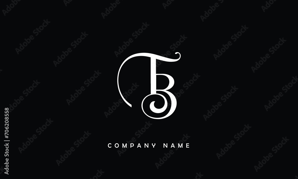 BT, TB, B, T Abstract Letters Logo Monogram