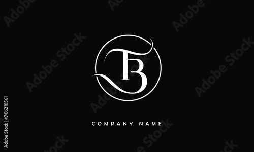 BT, TB, B, T Abstract Letters Logo Monogram