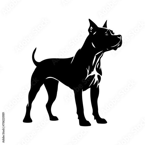 Standing american pit bull terrier dog, american pit bull terrier Dog monochrome clip art. Vector illustration