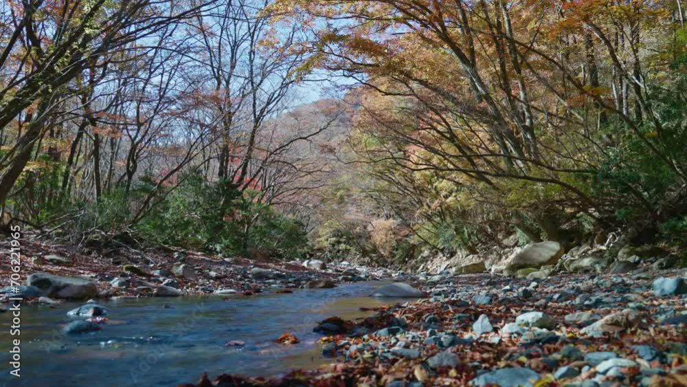 【鈴鹿の上高地】神崎川の清流と紅葉① 日本の山 【鈴鹿の上高地】神崎川の清流と紅葉① 日本の山