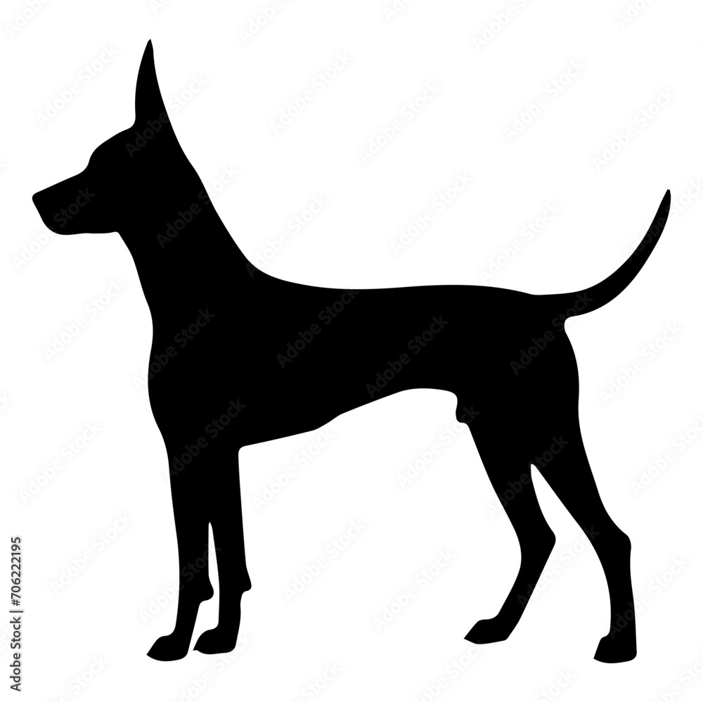 doberman pincher dog, doberman pincher Dog monochrome clip art. Vector illustration