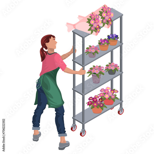 A young woman in a greenhouse worker takes care of plants on a rack. A girl is carrying a rack of violets and primroses. Isometric people. Flower shop seller, florist. 3D Isometric vector illustration