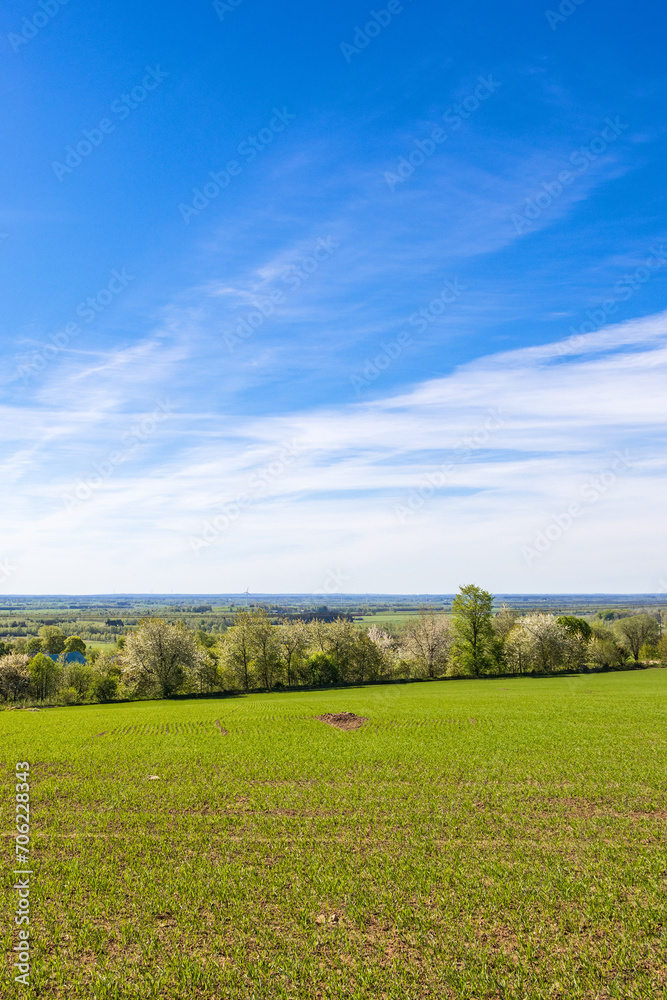 Landscape view from a green field in the spring Landscape view from a green field in the spring