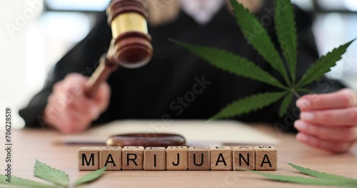 Cannabis plant and judge gavel in courtroom photo