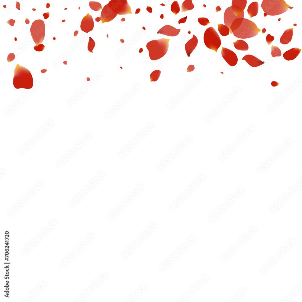 Beautiful Lotus Japanese Vector White Background. Beautiful Lotus Japanese Vector White Background.