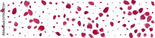 Purple Flower Spring Vector White Panoramic