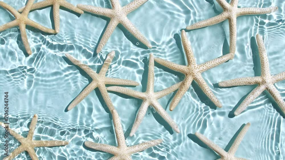 Pure water and starfish with reflections sunlight in slow motion. Water surface texture top view. Sun and shadows. Motion clean swimming pool ripples and wave. . High quality 4k footage Pure water and starfish with reflections sunlight in slow motion. Water surface texture top view. Sun and shadows. Motion clean swimming pool ripples and wave. . High quality 4k footage