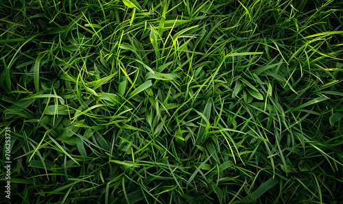 green grass background, Generative AI 