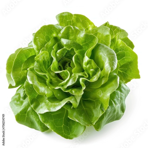 fresh green lettuce leaves isolated