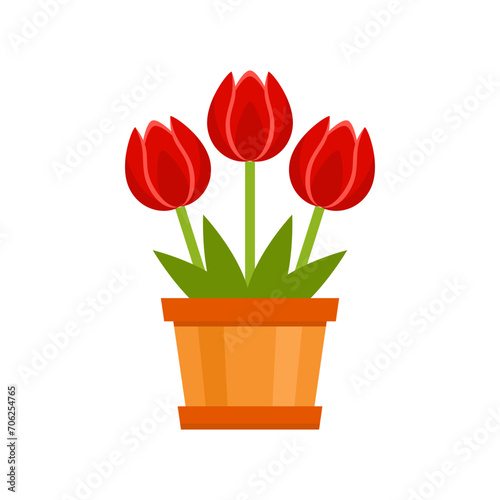 Tulip in flower pot isolated on white. Gift bouquet. Vector illustration of spring red flowers. Simple flat icon.