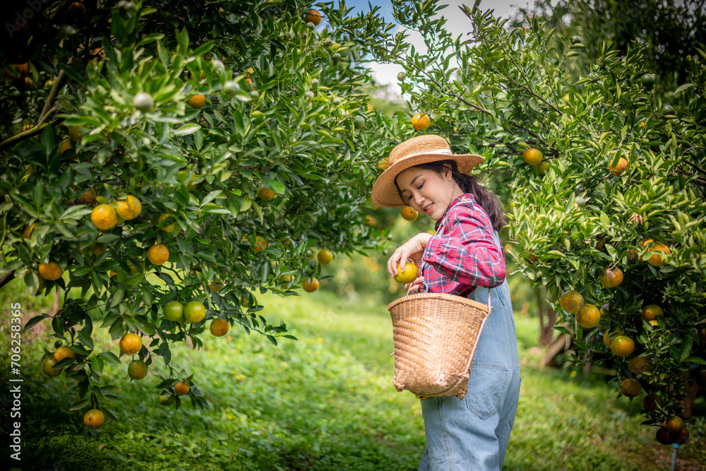 Happy woman farmer smiling in the gardenl under checking gardening organic orange tree plant garden and harvesting ripe orange crop by taplet computor is agriculture harvesting smart farm concept.