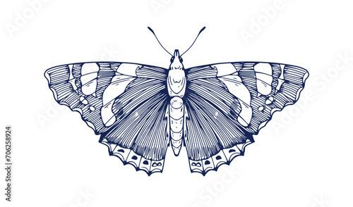Red Admiral butterfly, vintage engraved drawing. Vanessa atalanta, retro-styled ink sketch, etching. Winged insect, moth woodcut. Detailed hand-drawn vector illustration isolated on white background