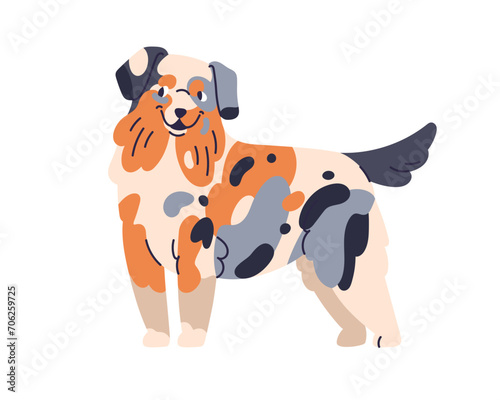 Happy dog of Border Collie breed. Cute canine animal standing. Purebred doggy, friendly puppy with multicolor spotted coat, fur pattern. Flat vector illustration isolated on white background