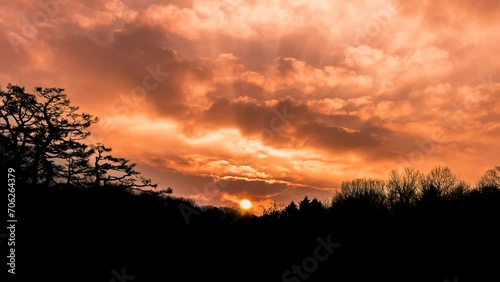 Time lapse, sun rising through the bushes