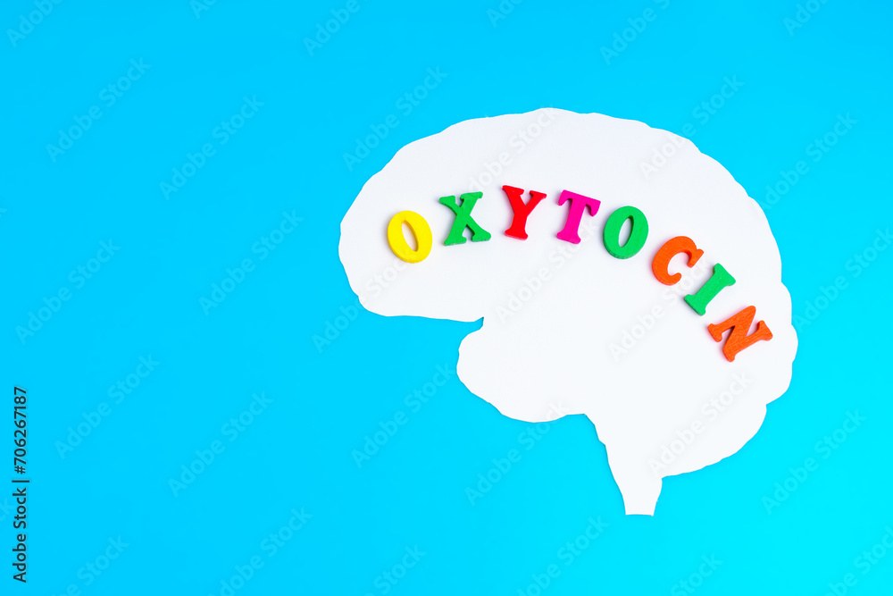 Paper Brain Cutout on Blue with Word Oxytocin Inside Paper Brain Cutout on Blue with Word Oxytocin Inside
