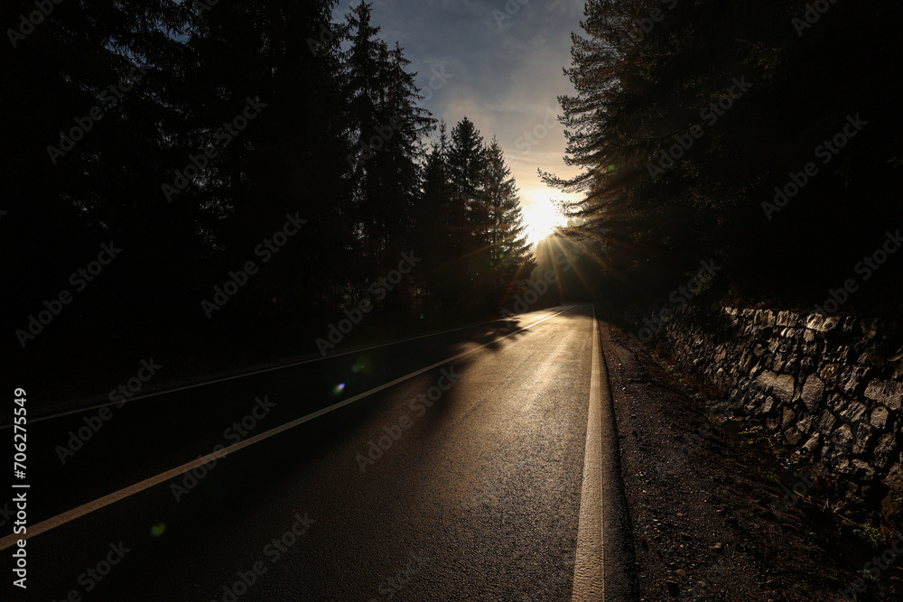 Amazing road in the mountain forest. Rays of sun bursting through the tree branches of this beautiful curved road in the morning. Transportation industry.