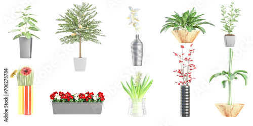 3d illustration of tropical Aloe vera,Musa basjoo,Orange treeZamiokulkas in pot plants on white background