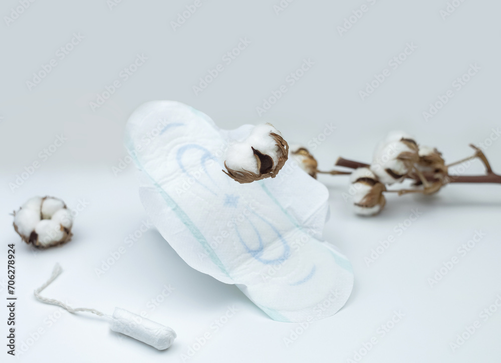 Sanitary napkin and cotton plant flower. A concept that shows the