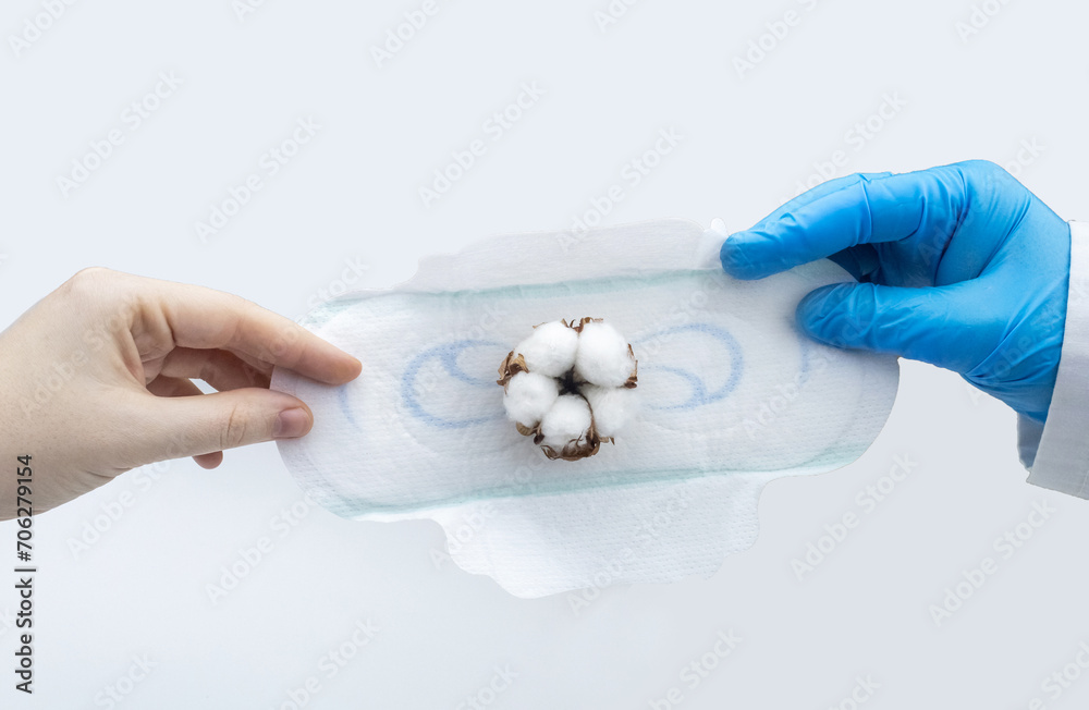 Sanitary napkin and cotton plant flower. A concept that shows the