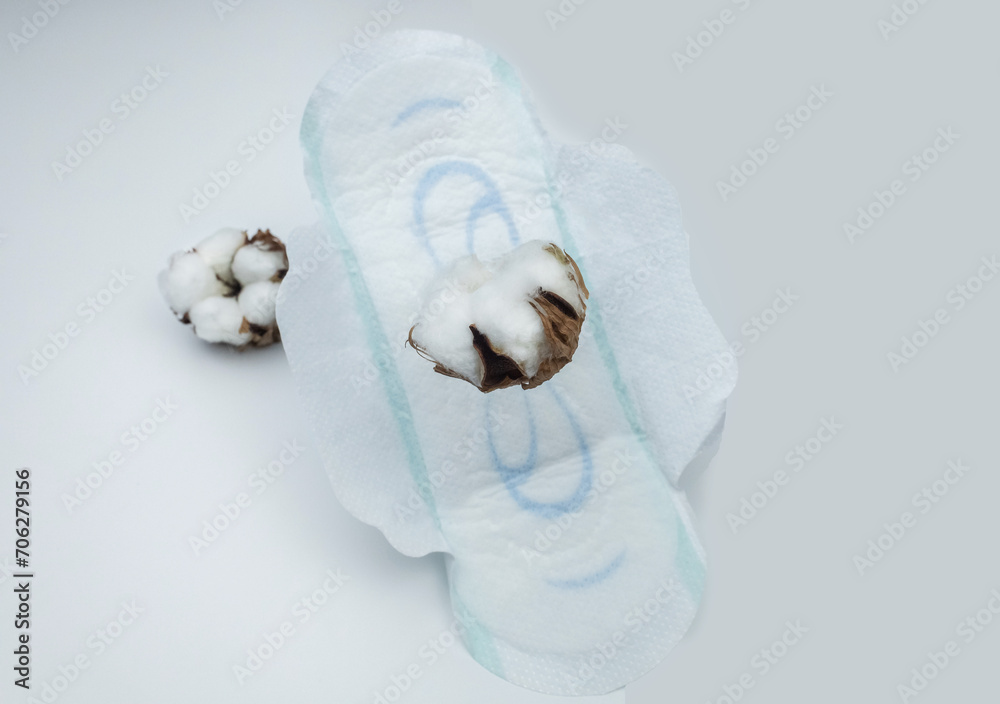 Sanitary napkin and cotton plant flower. A concept that shows the