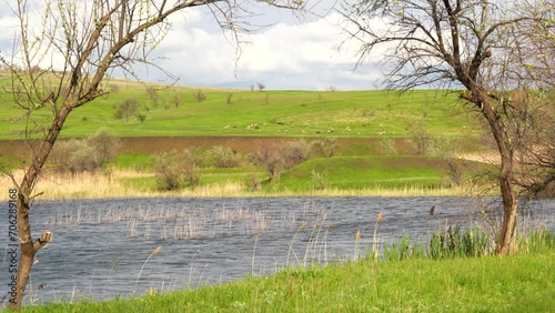 green summer meadow near the river