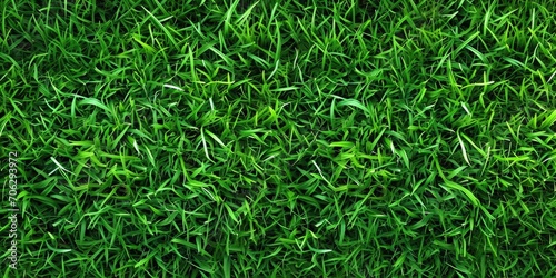 Seamless Green Grass Texture: Vibrant Nature Background for Landscapes and Recreation photo
